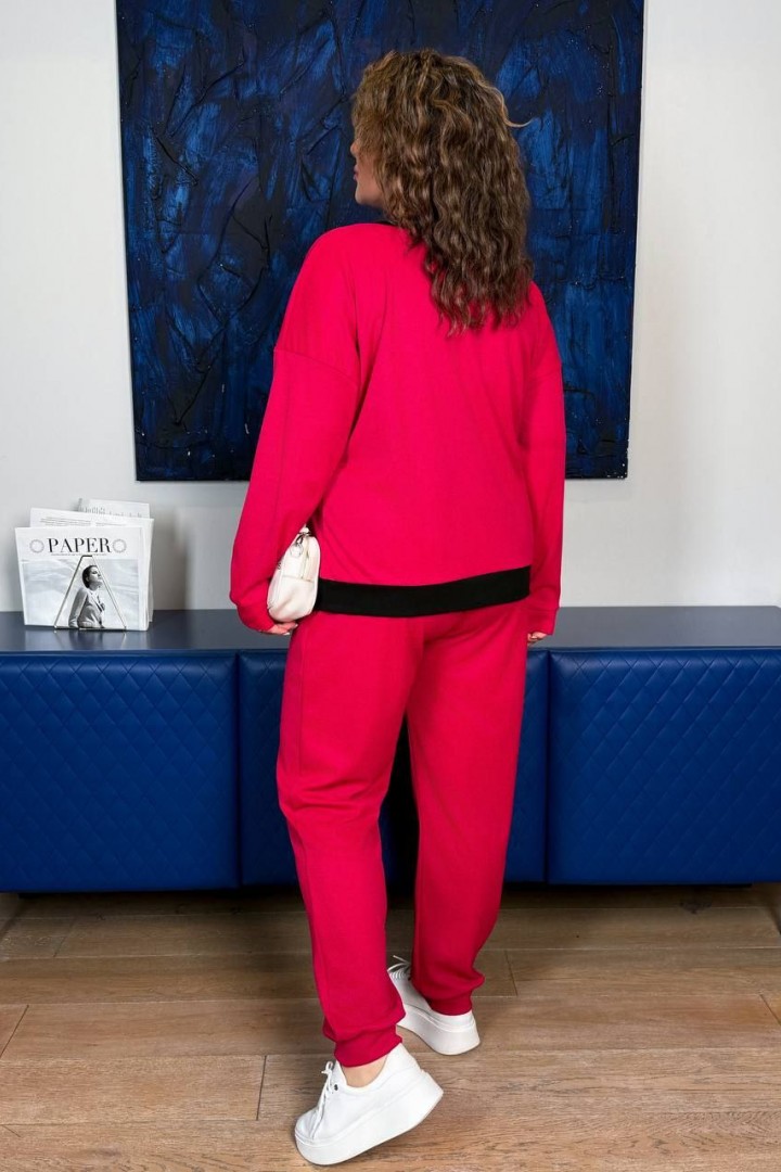 Трикотажный костюм с нашивкой AD-7996.1A290