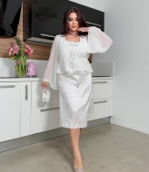 Платье двойка DAM-245A900