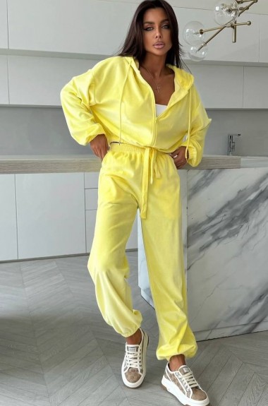 Велюровий костюм DMP-R1865A500