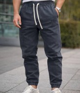 Мужские штаны джоггеры  SAL-453A550