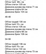 Велюровый костюм с лампасами  OZ-1141A720