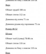 Женский шерстяной костюм KC-3356A700