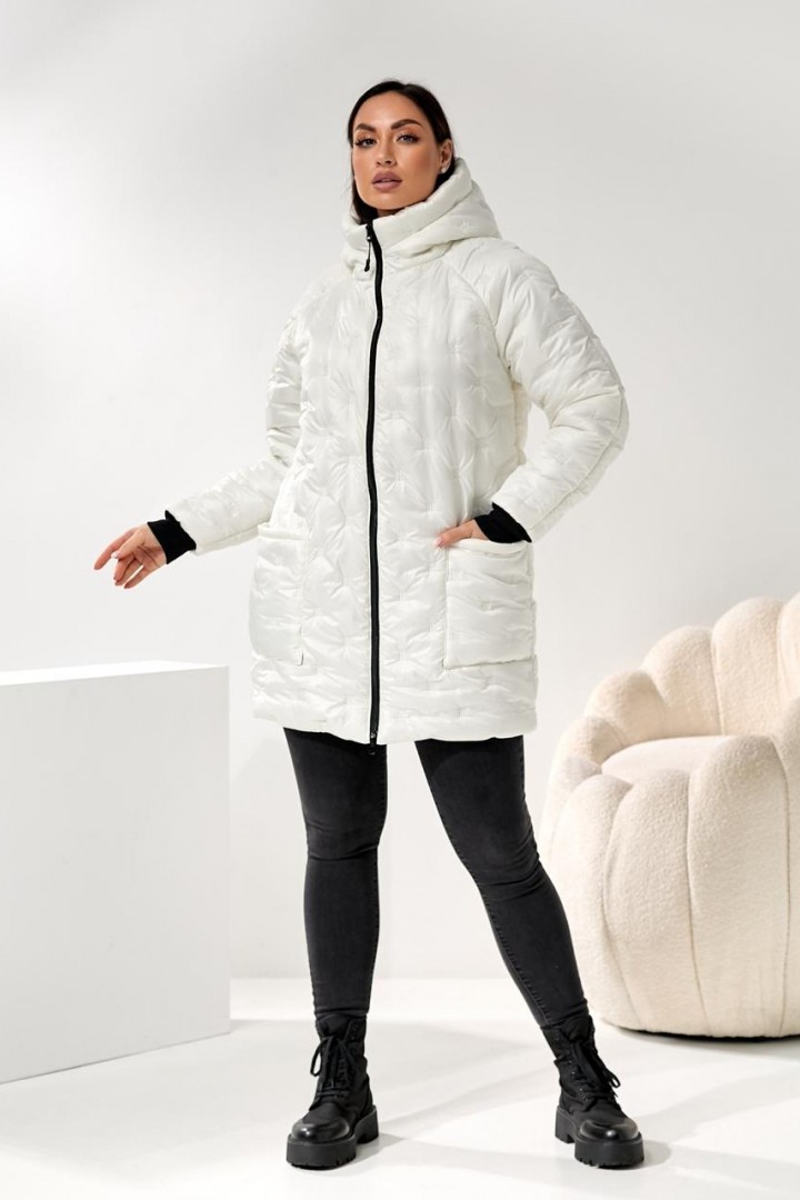 Жіноча зимова куртка DV-R4429A1150