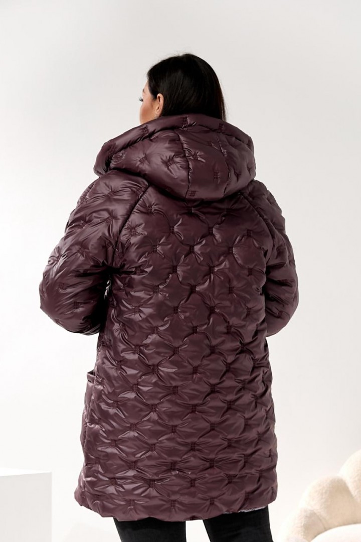 Жіноча зимова куртка DV-R4429A1150