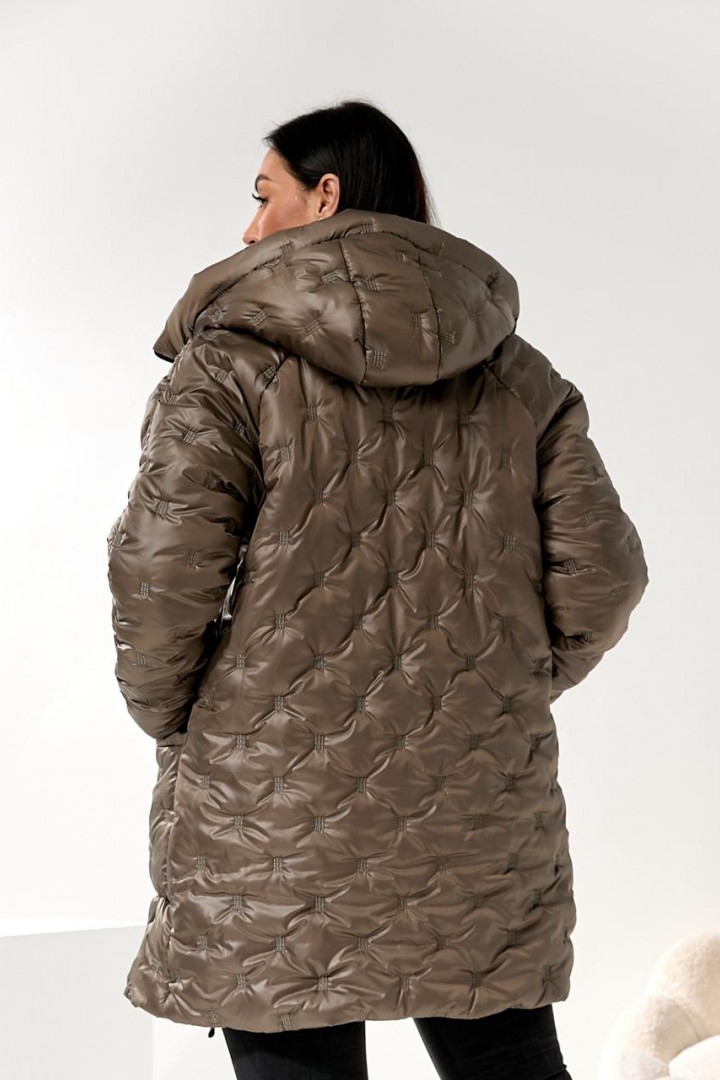 Жіноча зимова куртка DV-R4429A1150