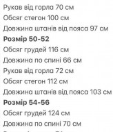 Спортивный костюм INT-0592A620