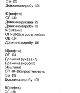 Флисовый спортивный костюм BIN-020A800