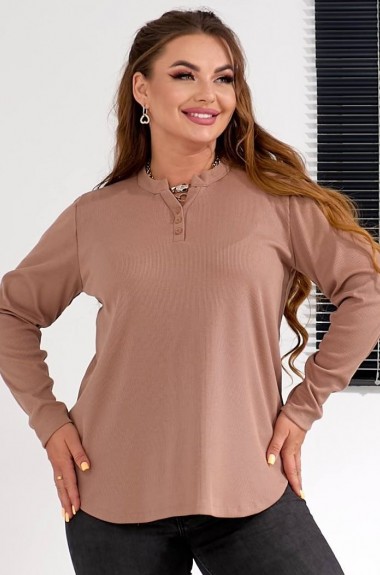 Вільний лонгслів BIN-028A400