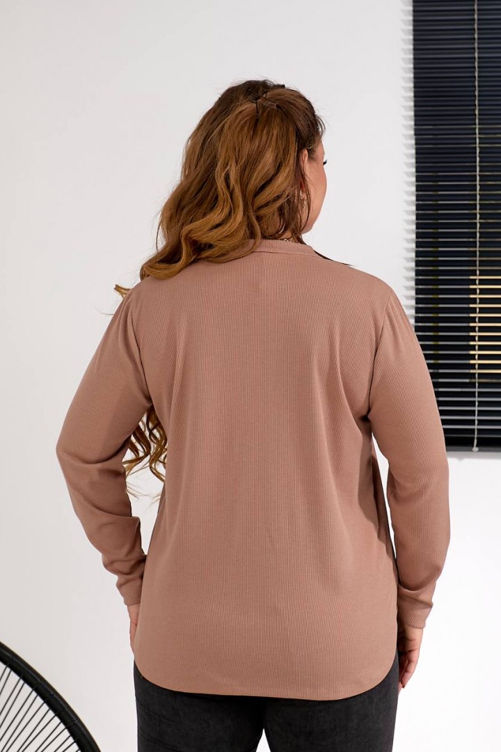 Вільний лонгслів BIN-028A400