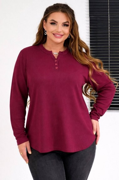 Вільний лонгслів BIN-028A400