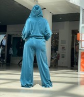 Спортивный велюровый костюм SD-0022A900