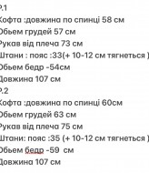 Велюровый костюм на меху DAP-626A600