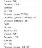 Легкий спортивный костюм из плащевки SOLO-292A1100