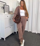 Спортивный костюм женский с начесом  JAV-805.5505A700