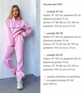 Спортивный женский костюм на флисе  ANA-1631A12