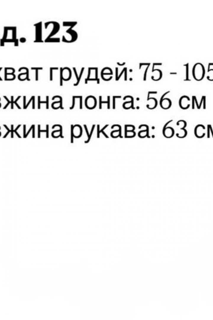 Базовый лонгслив REM-123A250