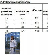 Костюм с лампасами EV-2519A850