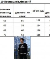 Костюм с лампасами EV-2519A850