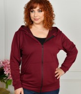 Кофта с капюшоном NF-3830A550