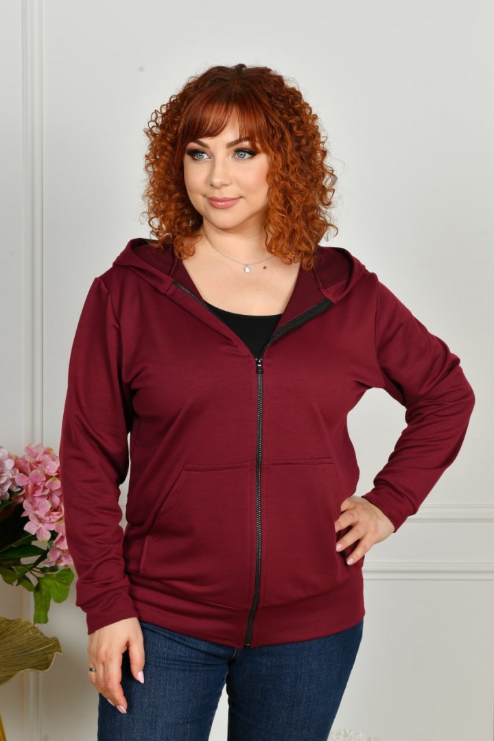 Кофта с капюшоном NF-3830A550