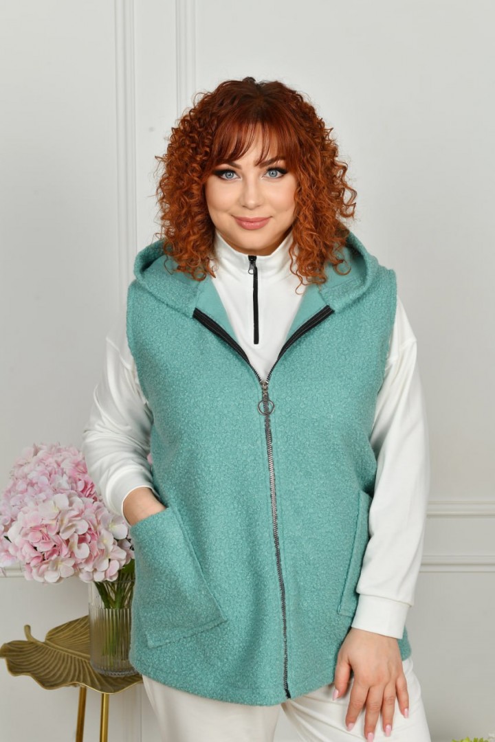 Жилет с капюшоном NF-3809A650