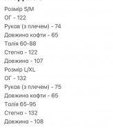 Спортивный костюм на флисе SOLO-293A1350