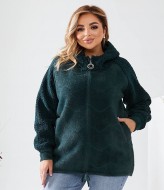 Тёплая кофта с капюшоном  MAX-909A1000