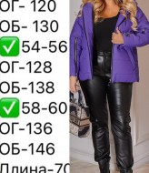 Зимова куртка EY-597.1A27