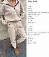 Спортивный флисовый костюм женский JAC-809A610