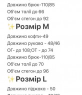 Трикотажний костюм KL-842A630