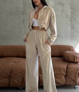 Велюровый костюм CULT-865A590