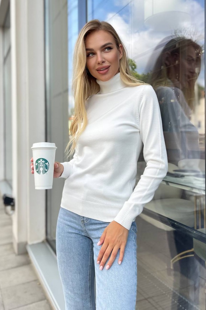 Кашемировый гольф WA-069A300