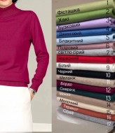 Кашемировый гольф WA-069A300