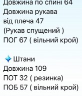 Трикотажный прогулочный костюм ROM-406A670