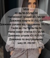 Велюровый костюм FAV-M513A680