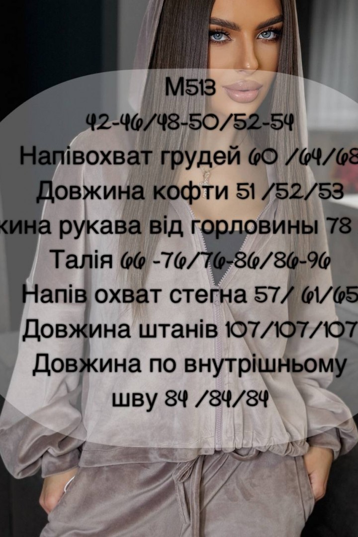 Велюровый костюм FAV-M513A680