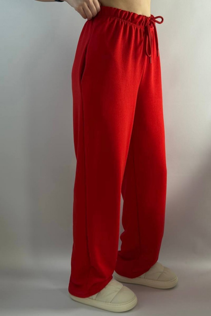 Трикотажные штаны BAC-953A600