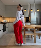 Трикотажные штаны BAC-953A600