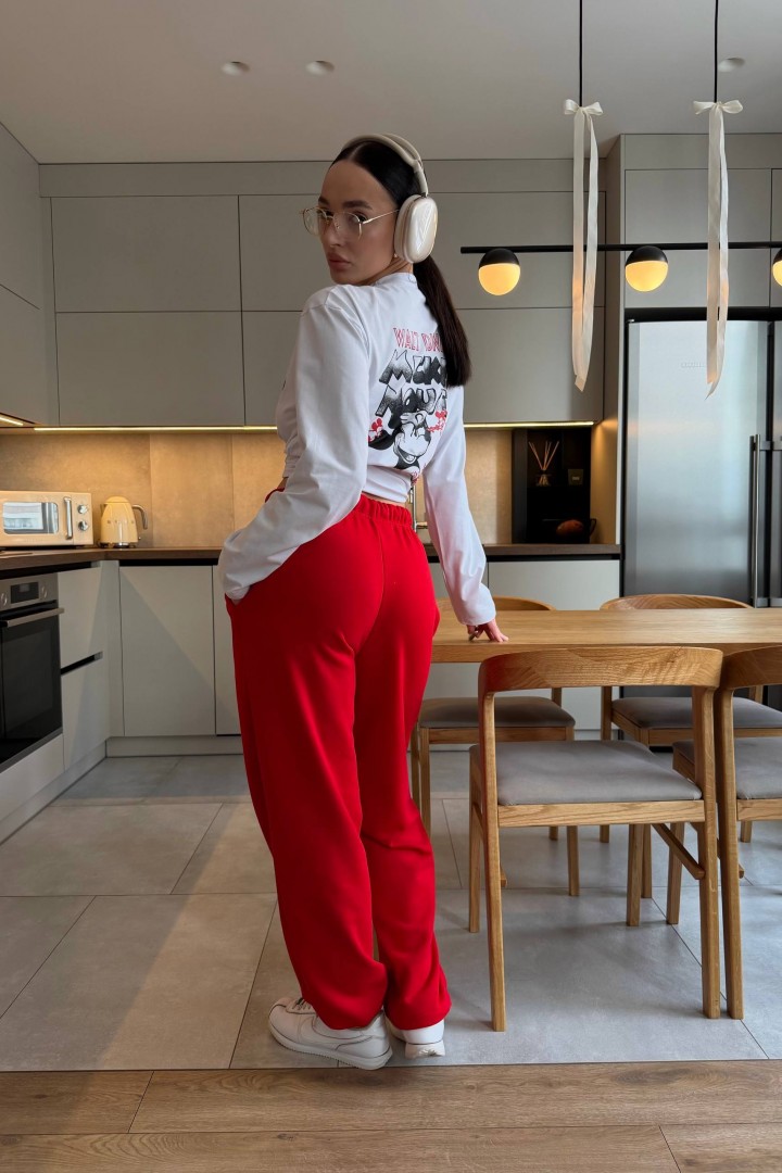 Трикотажные штаны BAC-953A600