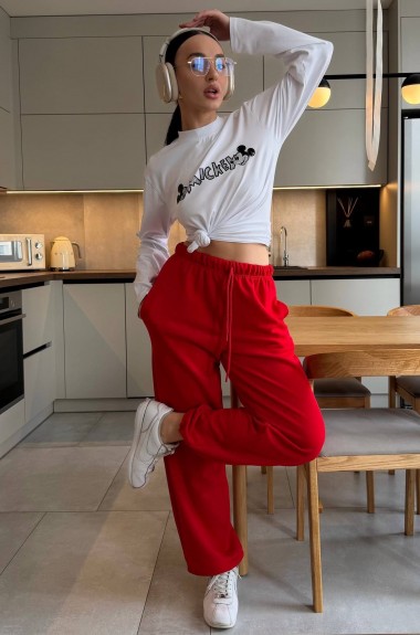 Трикотажные штаны BAC-953A600 Трикотажные штаны BAC-953A600