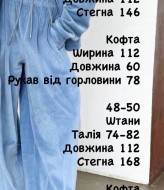 Велюровий костюм з капюшоном BAC-965A700