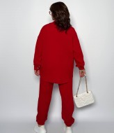 Вельветовый костюм LZ-M1242A650