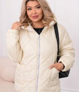 Куртка весенняя MA-1040A750