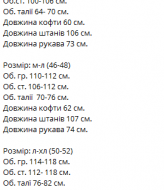 Велюровый костюм VM-10548A590