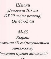 Флисовый спортивный костюм CRY-1024A650