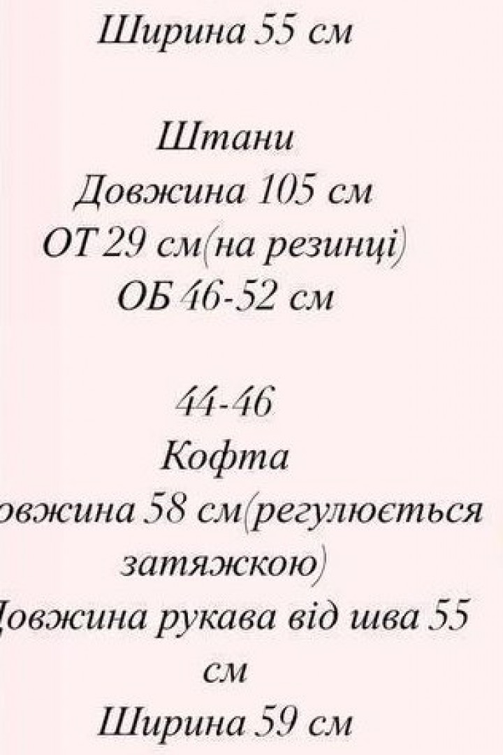 Флисовый спортивный костюм CRY-1024A650