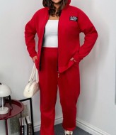 Замшевый спортивный костюм женский AD-7853.1A360