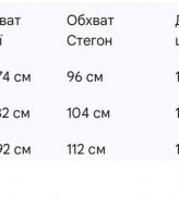 Широкі брюки з асиметричною планкою KC-0516A500