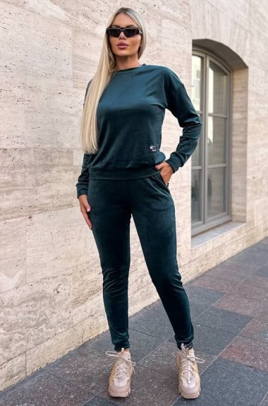 Велюровый спортивный костюм IND-2068A450