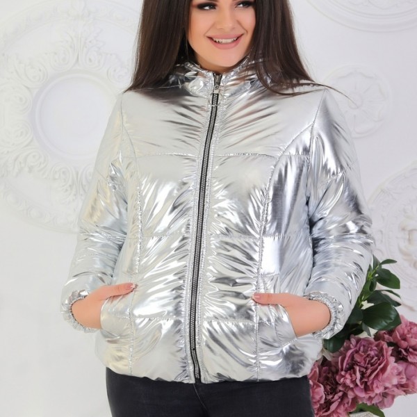 Куртка серебристый металлик NDP-1225A605